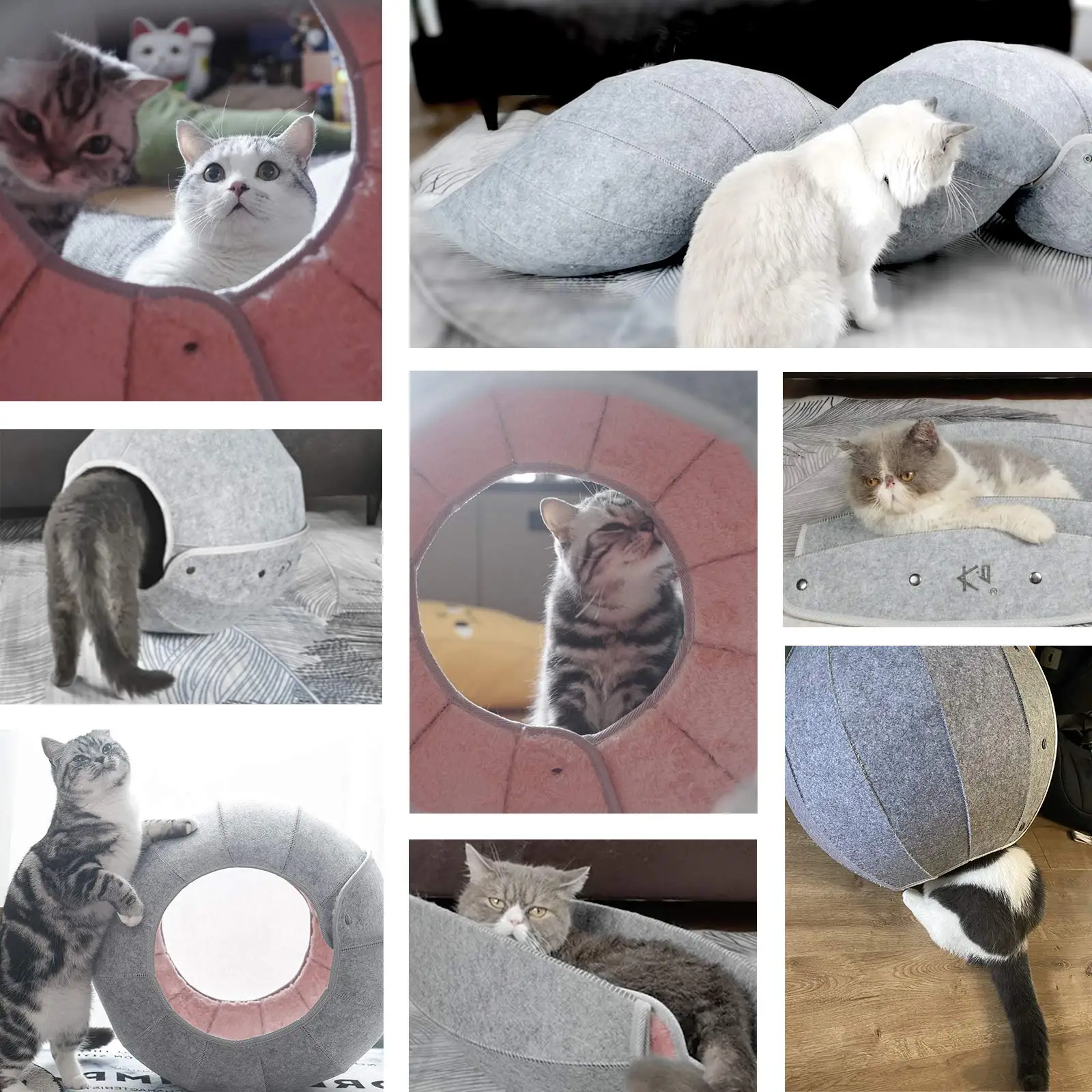 Симпатичный домик-кровать для кошек в виде ракушки в помещении для кошек, Складная Многофункциональная палатка для кошек, устойчивая к царапинам, Туннельная трубка для кошек, Игрушечная пещера для кошек, Кондоминиумы Изображение 4